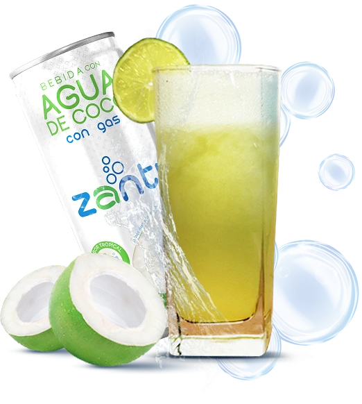 Coco No-jito fizz